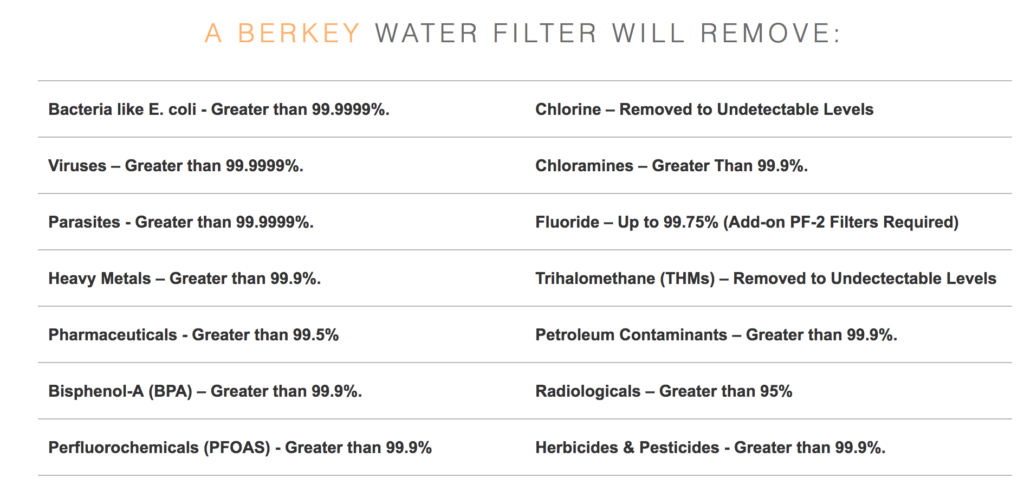 Big Berkey Filter Results