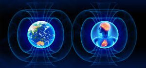 Heart Coherence