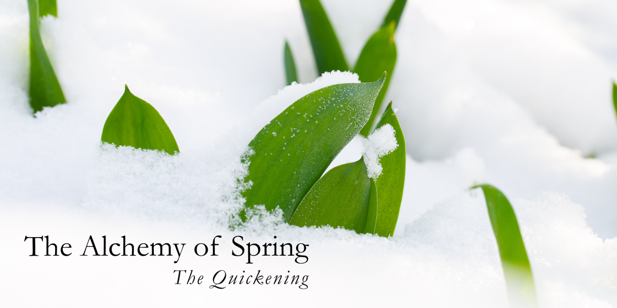 alchemy-of-spring-the-quickening-march-2026.jpg